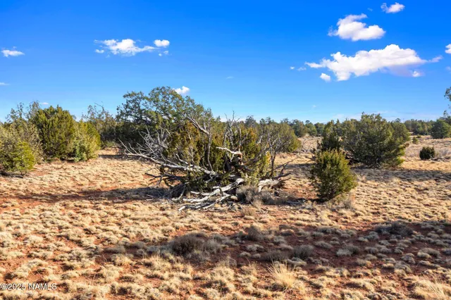 $39,000 | 8755 Hawkeye Circle, Unit LOT C, Williams, AZ 86046