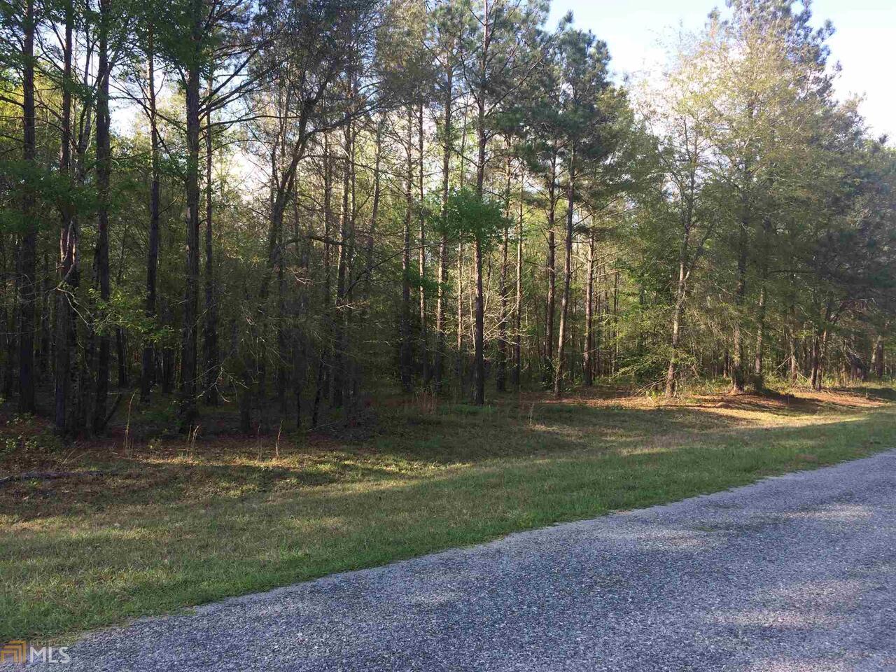 0 Spearhead Road, Unit 19 Dublin, GA 31021 - Photo 1 of 1 Gallery Image 1
