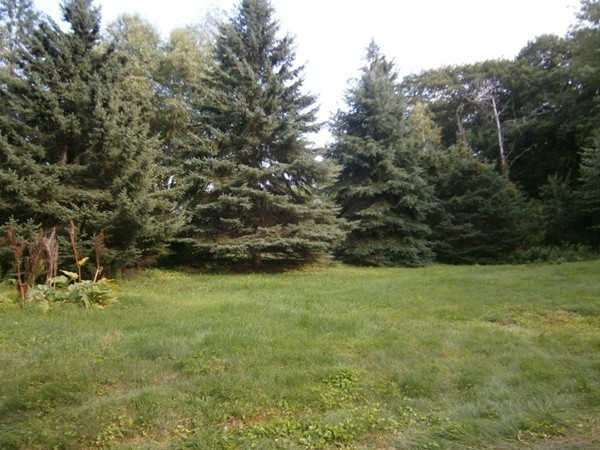 125 West Main Street Rindge, NH 03461 - Photo 6 of 19 a view of a field with trees