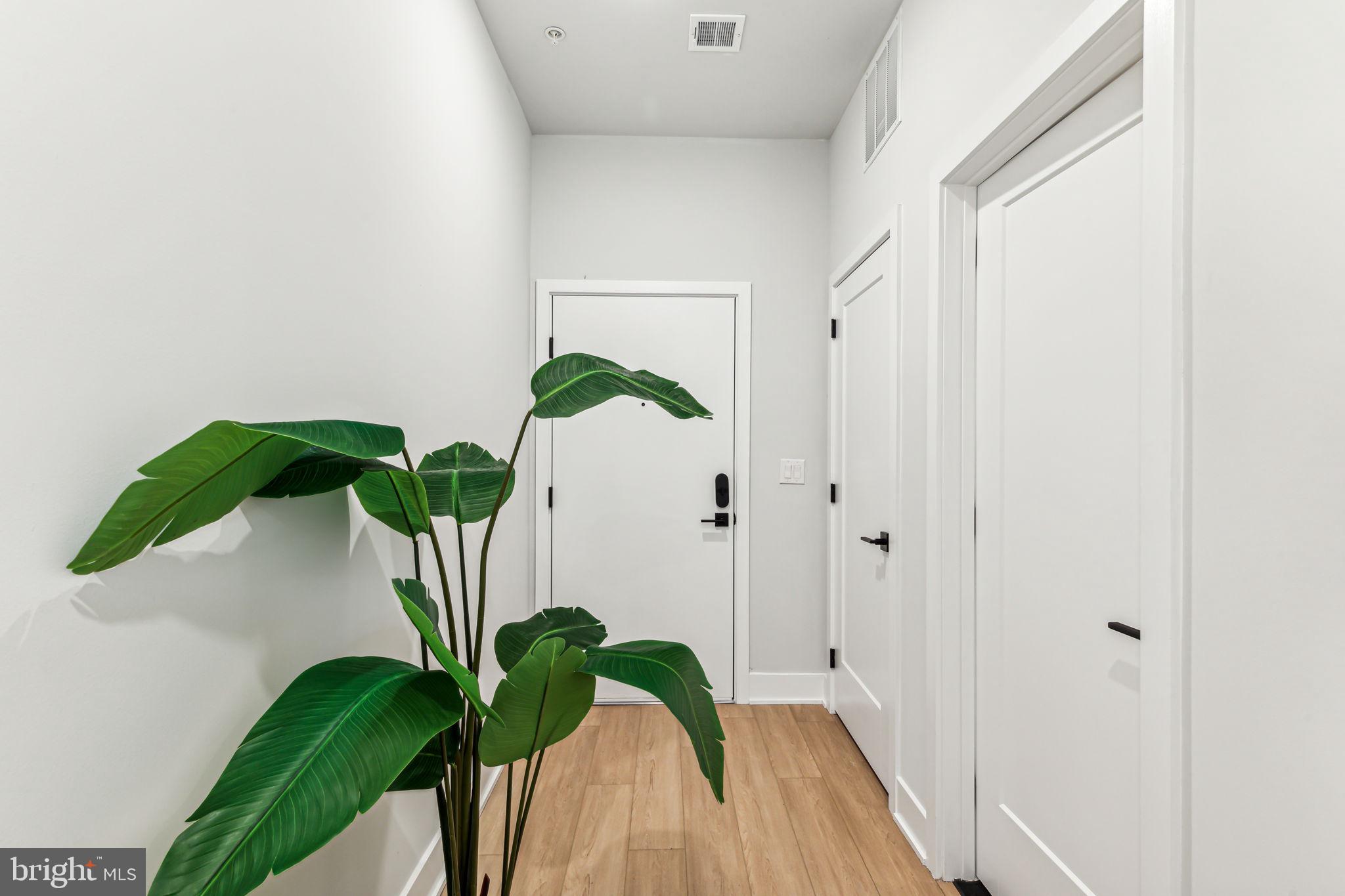 6910 Ridge Avenue, Unit 409 Philadelphia, PA 19128 - Photo 8 of 15 a view of a potted plant in a room