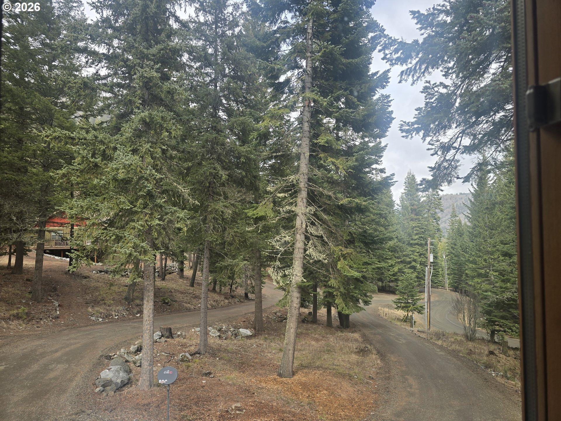 64276 Tamarack Road Lostine, OR 97857 - Photo 16 of 23 a view of a forest with trees in the background
