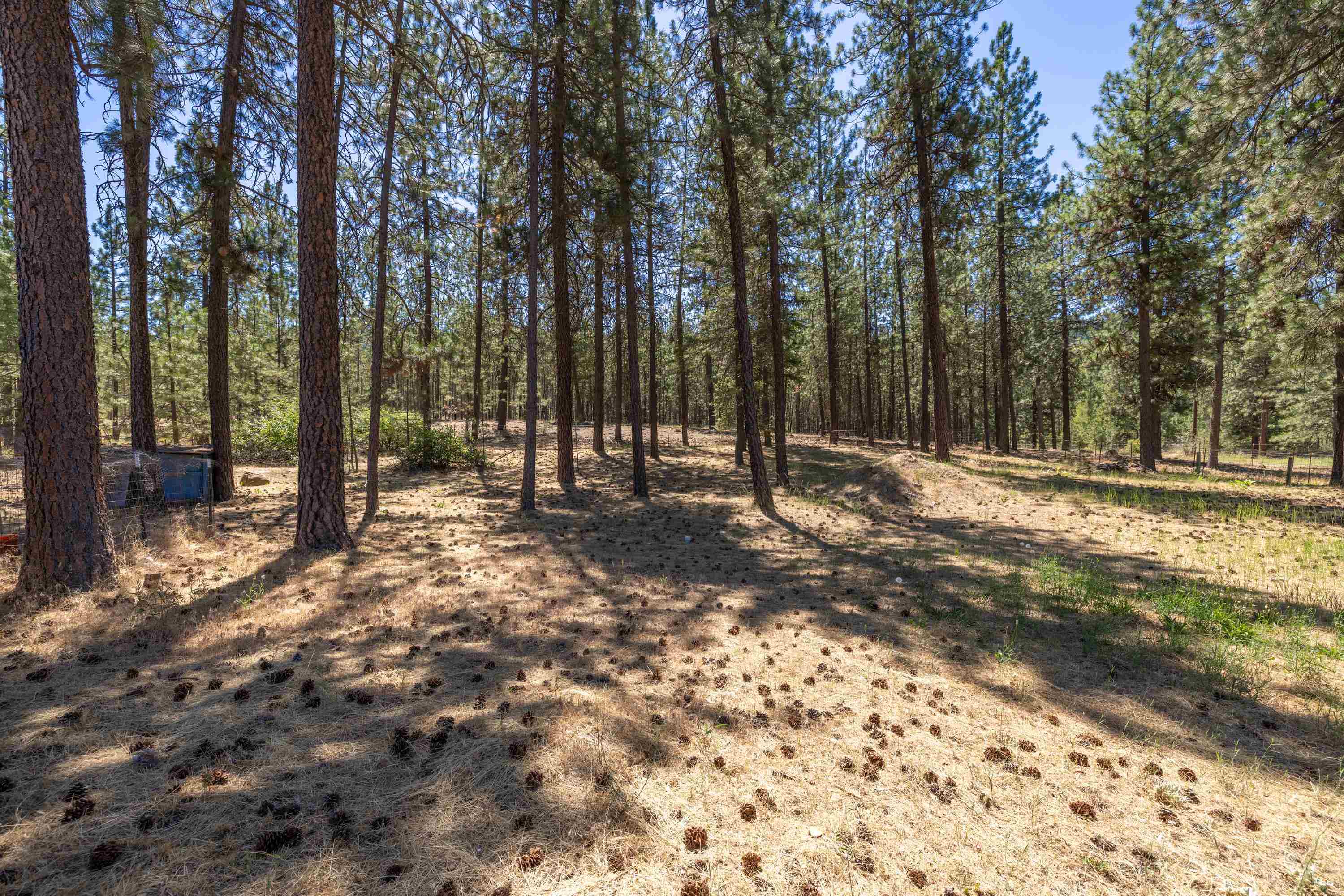 27615 West Long Lake Road Ford, WA 99013 - Photo 44 of 50