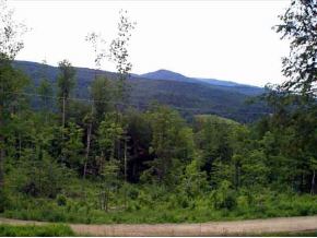 741 Spring Hill Road Waitsfield, VT 05673 - Photo 4 of 4