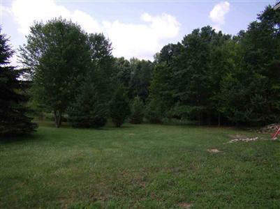 12288 Rohn Road Fenton, MI 48430 - Photo 3 of 3 20267088-2.JPG