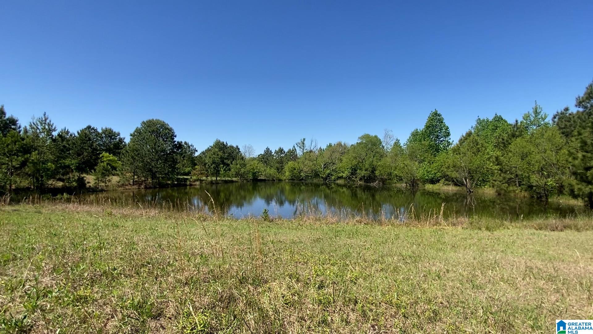 0 Jones Chapel Loop, Unit 20 ACRES Springville, AL 35146 - Photo 13 of 13