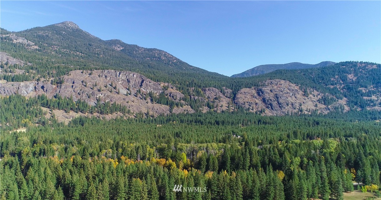22 Wilson Ranch Road Mazama, WA 98833 - Photo 13 of 25 Gallery Image 13