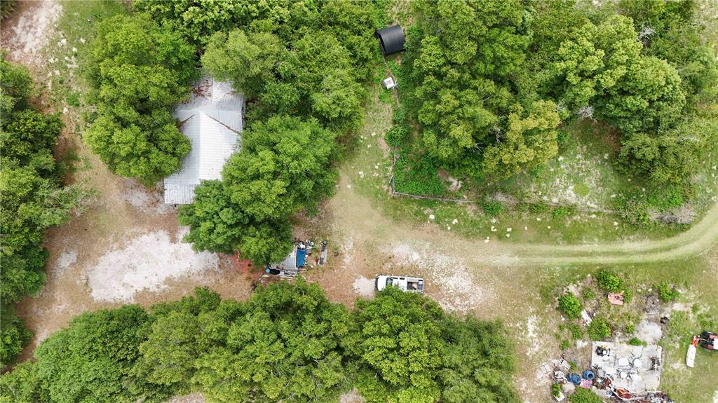 5501 Cemetery Road Mount Dora, FL 32757 - Photo 11 of 16