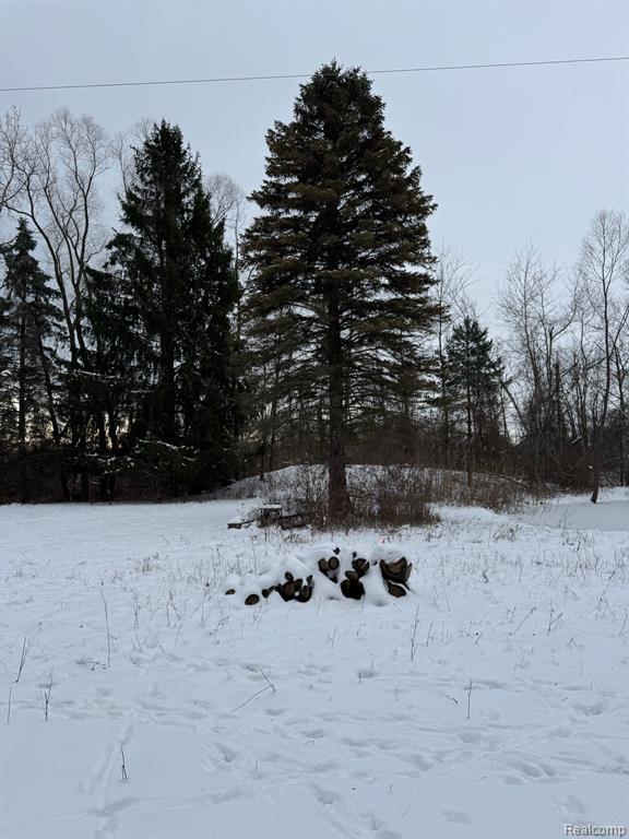 3865 Wills Road Croswell, MI 48422 - Photo 17 of 28