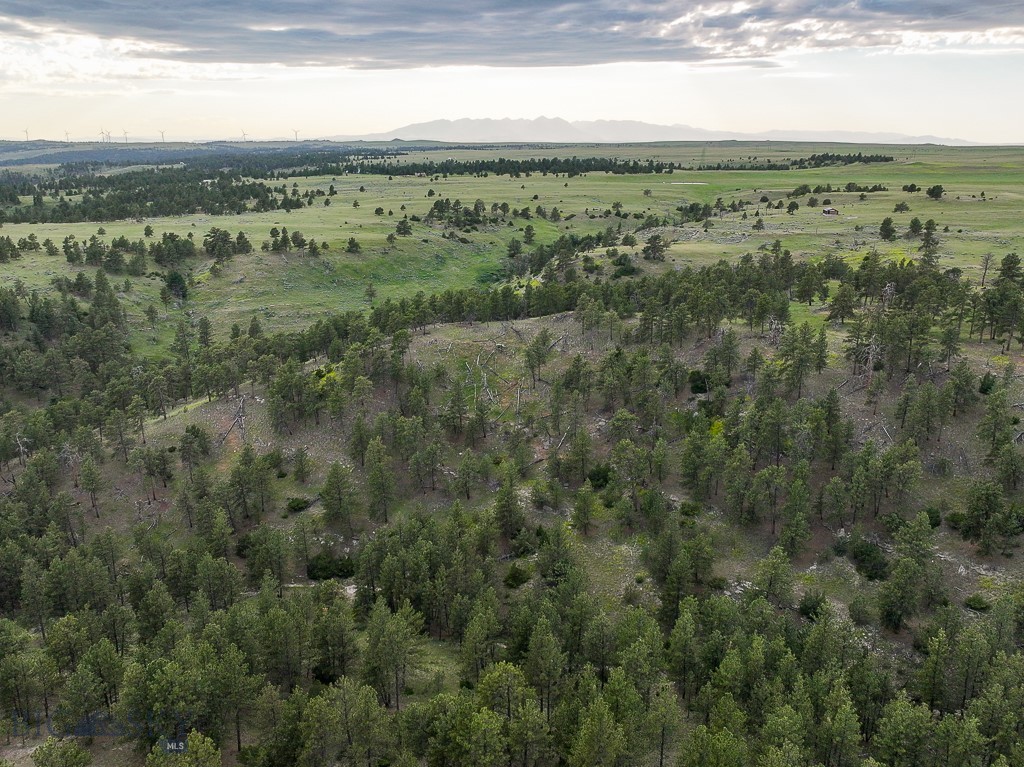 504 Stephens Hill Road Reed Point, MT 59069 - Photo 17 of 43 Gallery Image 17