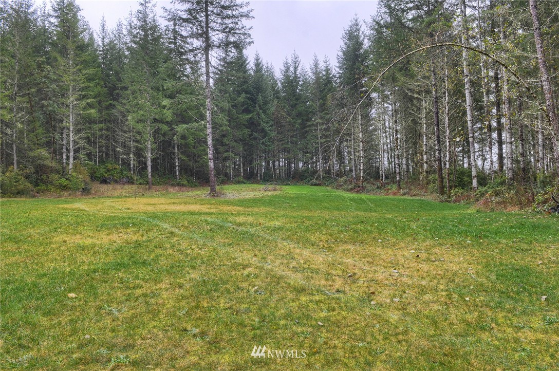 3091 East Rasor Road Belfair, WA 98528 - Photo 5 of 24 Gallery Image 5