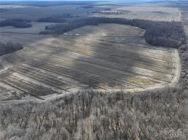 $1,029,900 | 0 County Road 272, Neelyville, MO 63954