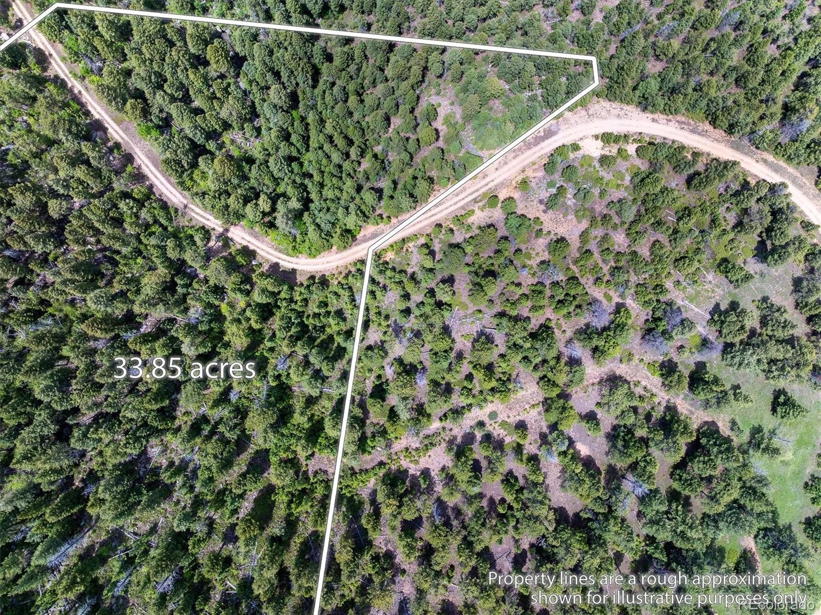 1259 Chute Road Golden, CO 80403 - Photo 13 of 21 a view of a garden