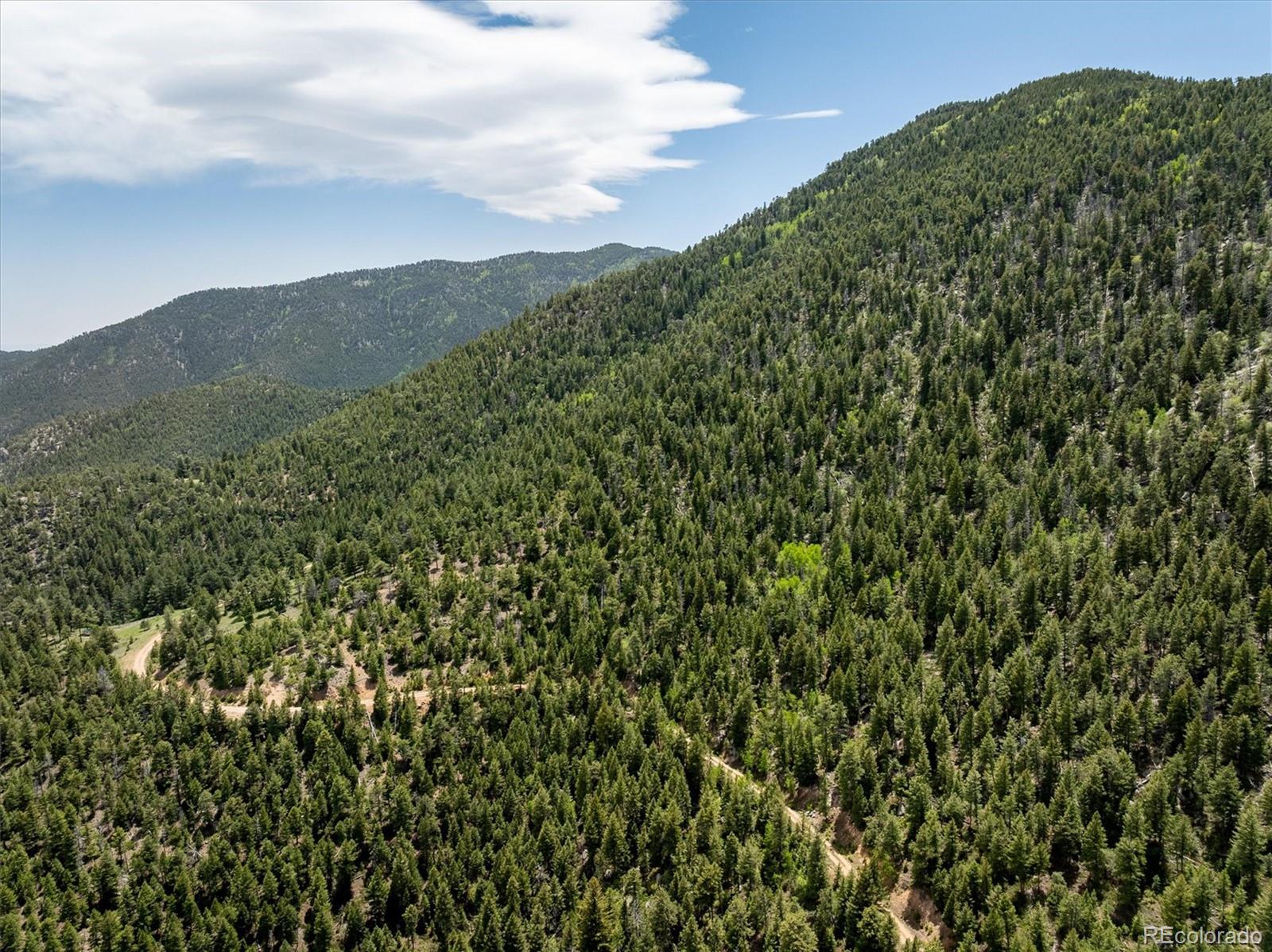 1259 Chute Road Golden, CO 80403 - Photo 16 of 21 a view of a mountain