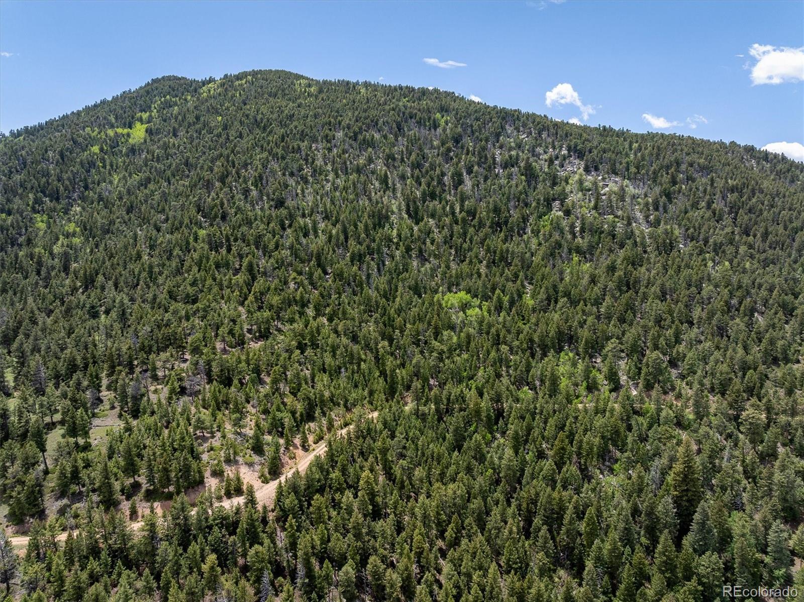 1259 Chute Road Golden, CO 80403 - Photo 17 of 21 a view of a building