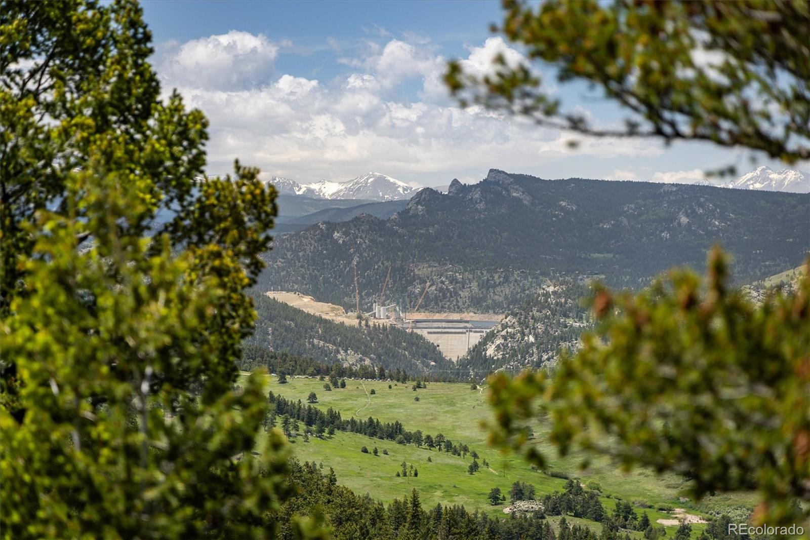 1259 Chute Road Golden, CO 80403 - Photo 2 of 21 a view of a big yard with green space