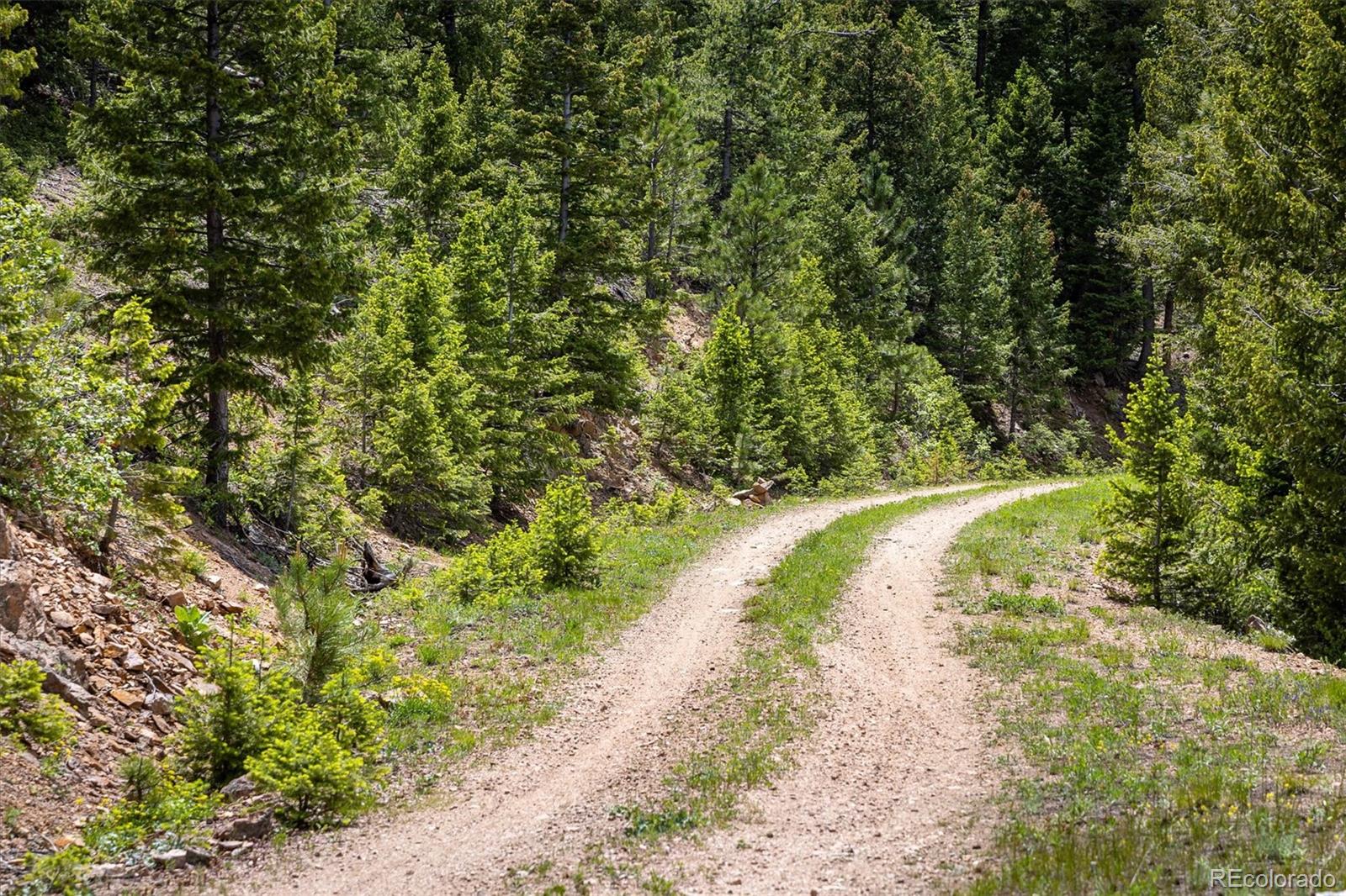 1259 Chute Road Golden, CO 80403 - Photo 3 of 21 a view of a pathway both side of yard