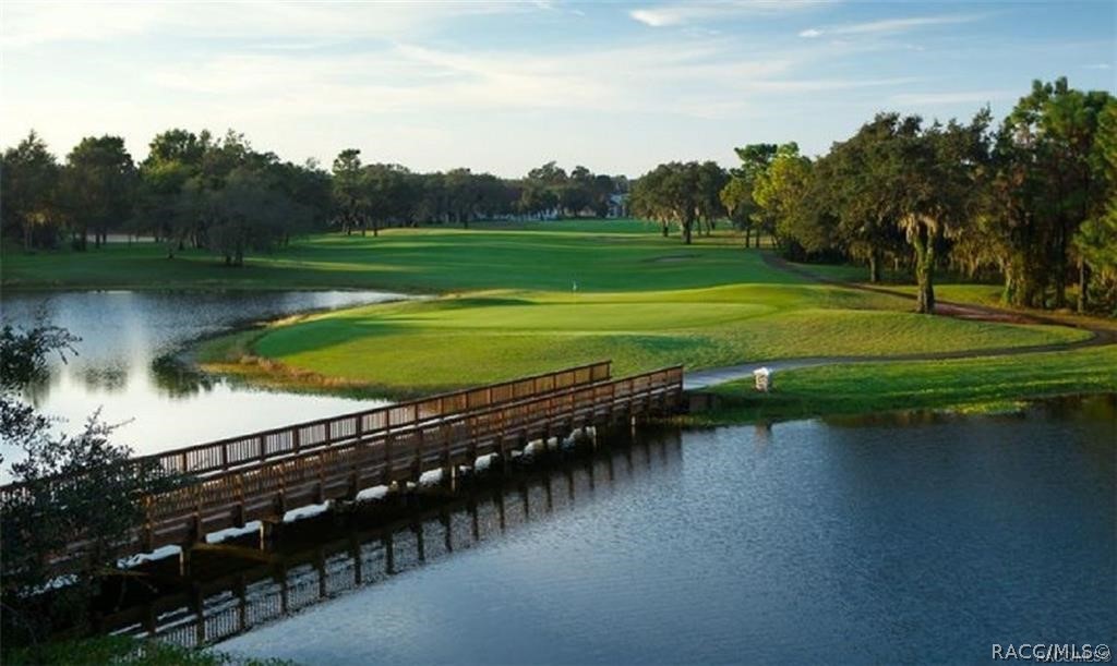 2015 North Rhodes Point Hernando, FL 34442 - Photo 65 of 82 The picturesque Skyview Golf Course.