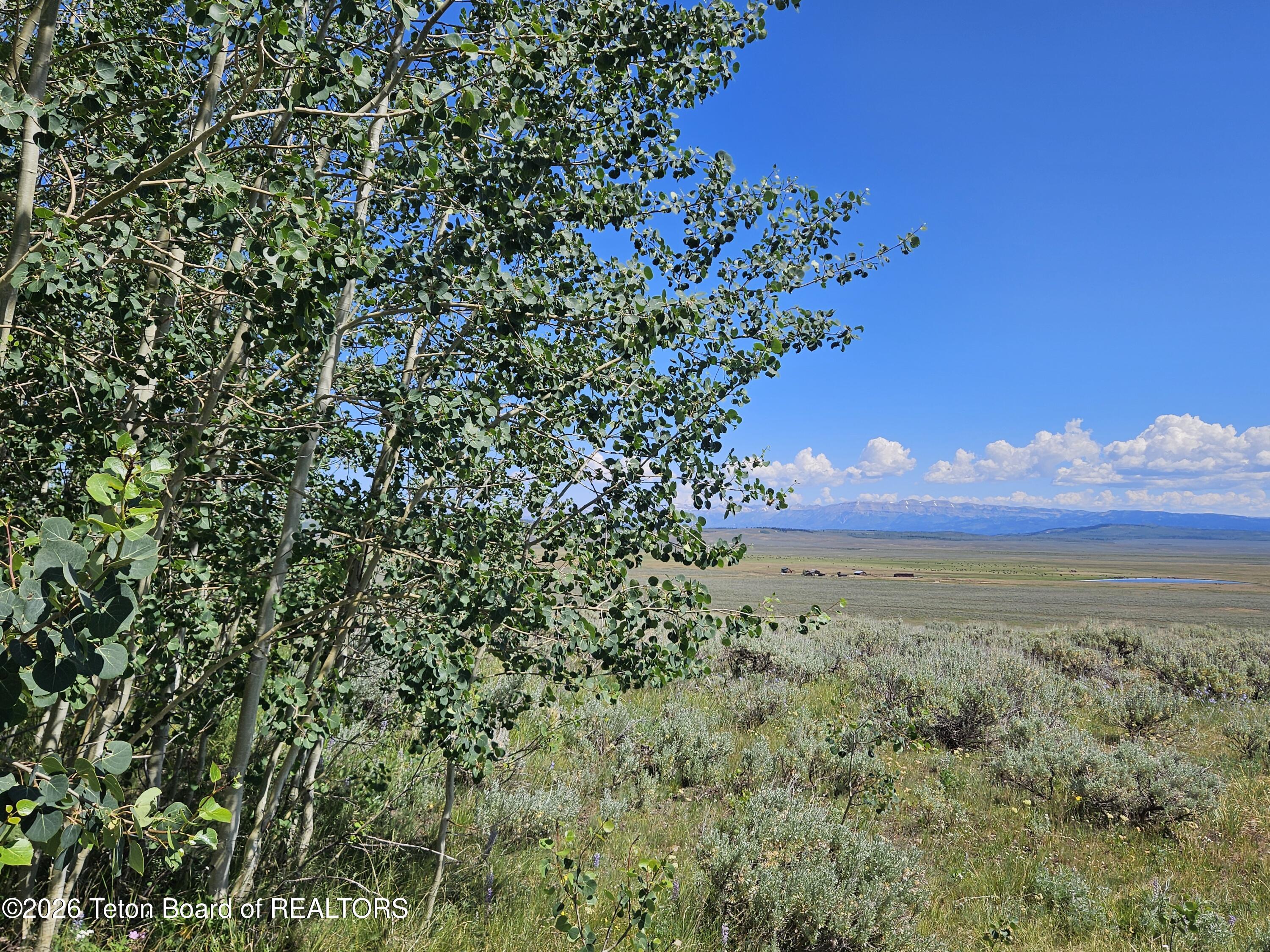 12 Aspen Ridge Road Daniel, WY 83115 - Photo 13 of 27 20260709_111040