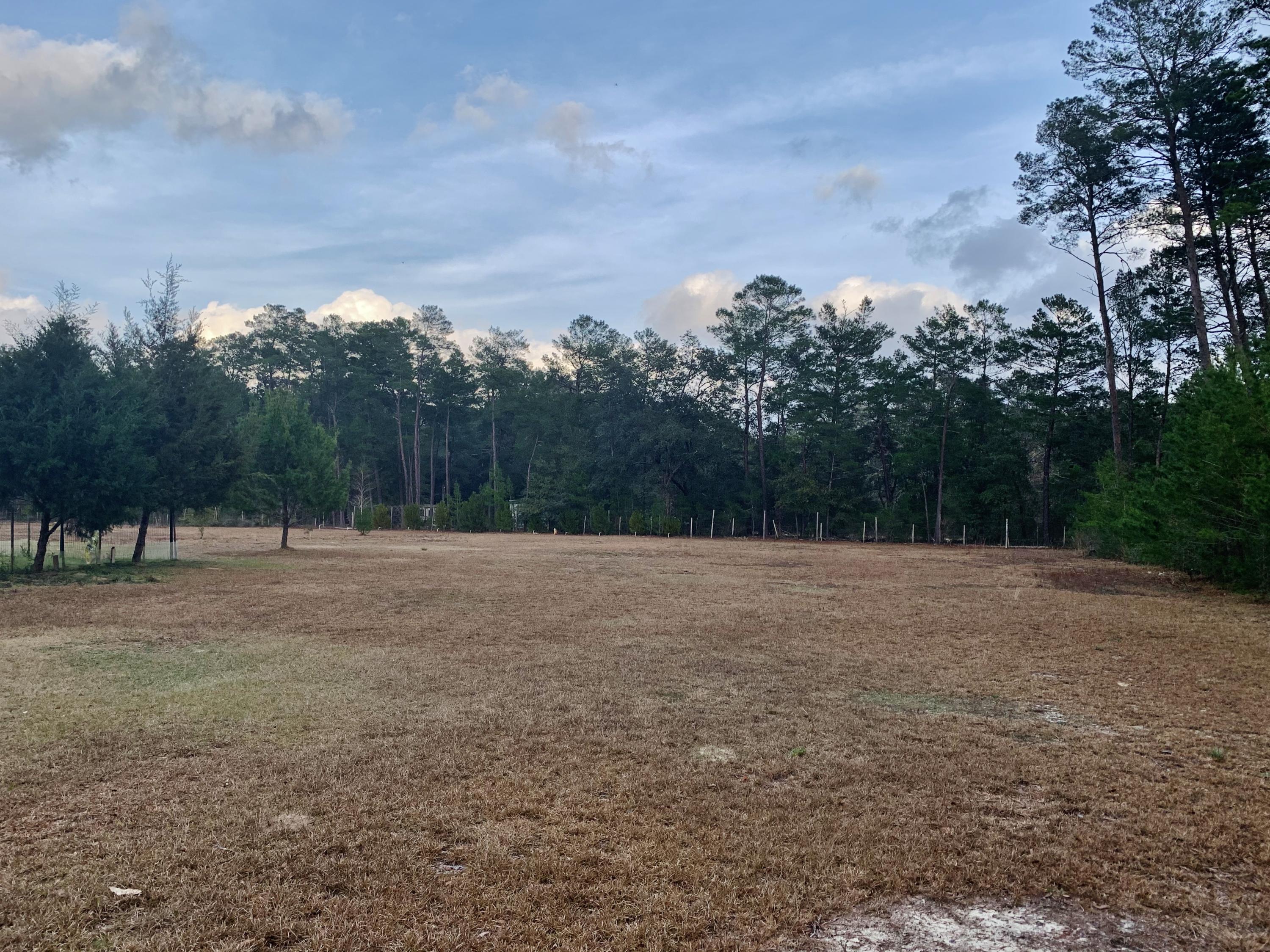 814 Site C-6 Road Freeport, FL 32439 - Photo 33 of 48 Totally cleared lot