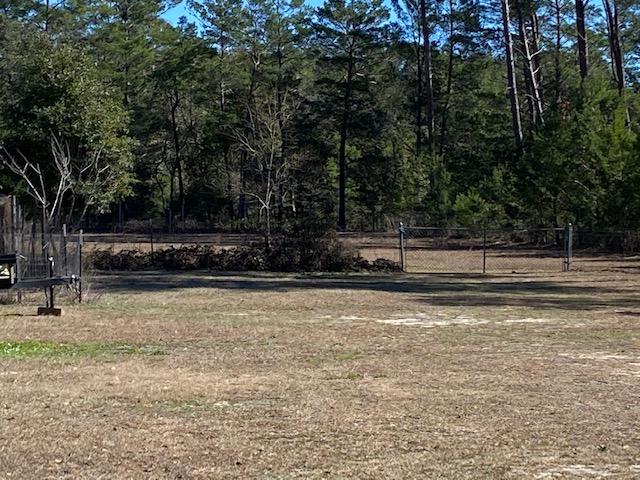 814 Site C-6 Road Freeport, FL 32439 - Photo 46 of 48 Blackberry bushes