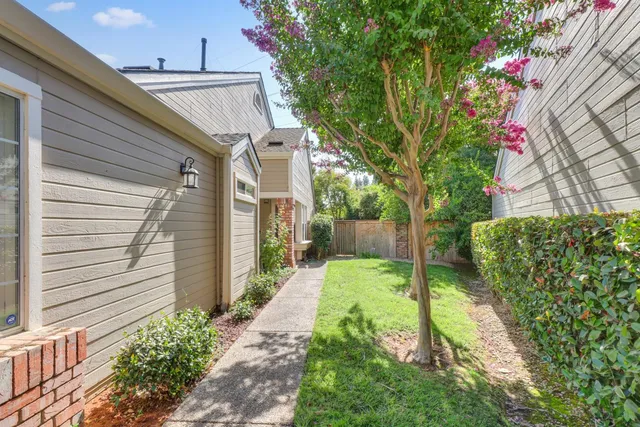 a backyard of a house with plants and large tree