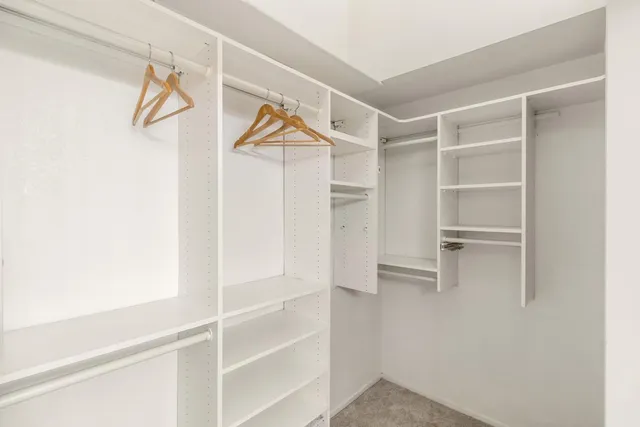 a view of a yard with a tree in front of it