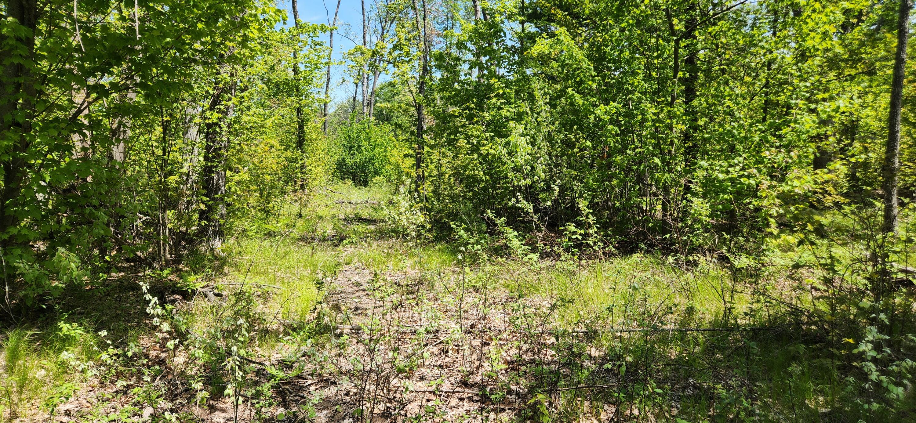 7746 North Woodbridge Road Brohman, MI 49312 - Photo 5 of 41 Trails