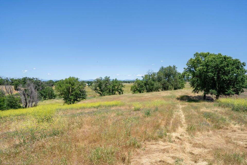 Deschutes Road Anderson, CA 96007 - Photo 17 of 25 20240523233239263712000000-o