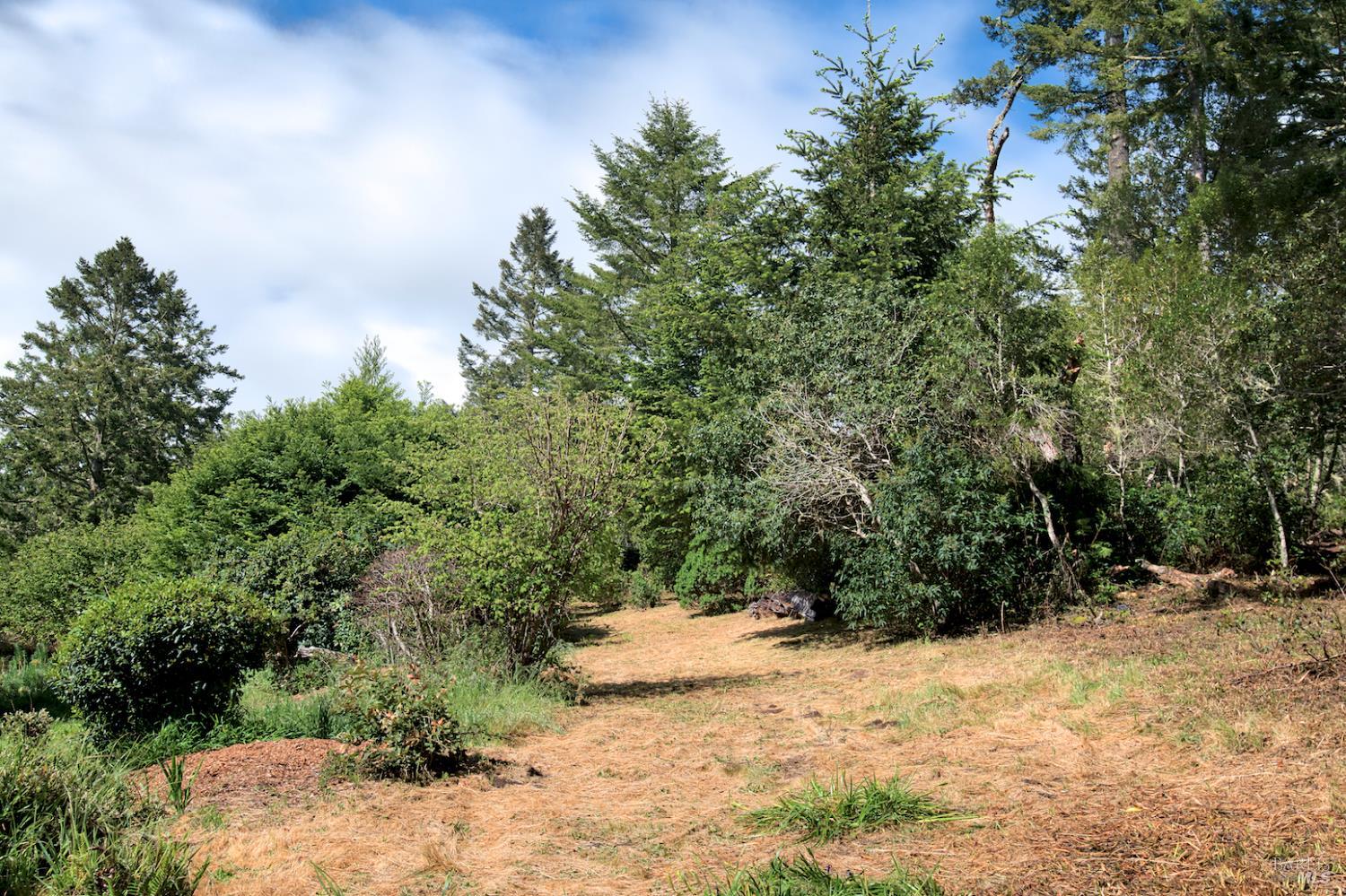 0 Douglas Drive Point Reyes Station, CA 94956 - Photo 2 of 10 a view of a yard with a tree