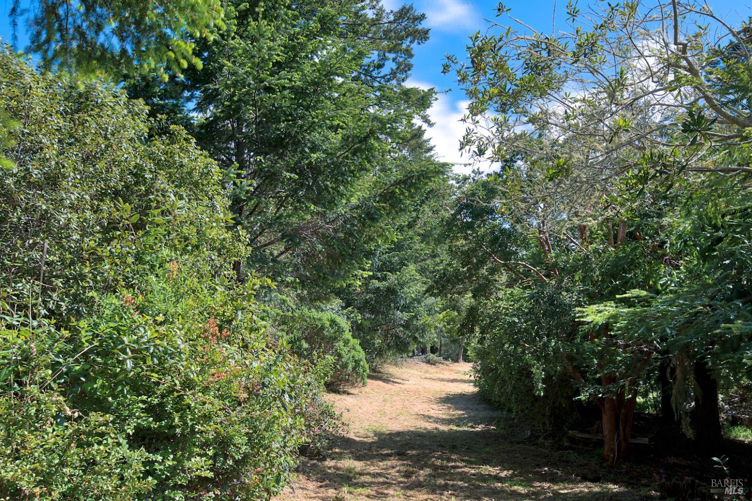 0 Douglas Drive Point Reyes Station, CA 94956 - Photo 4 of 10 a view of a lake with lots of trees