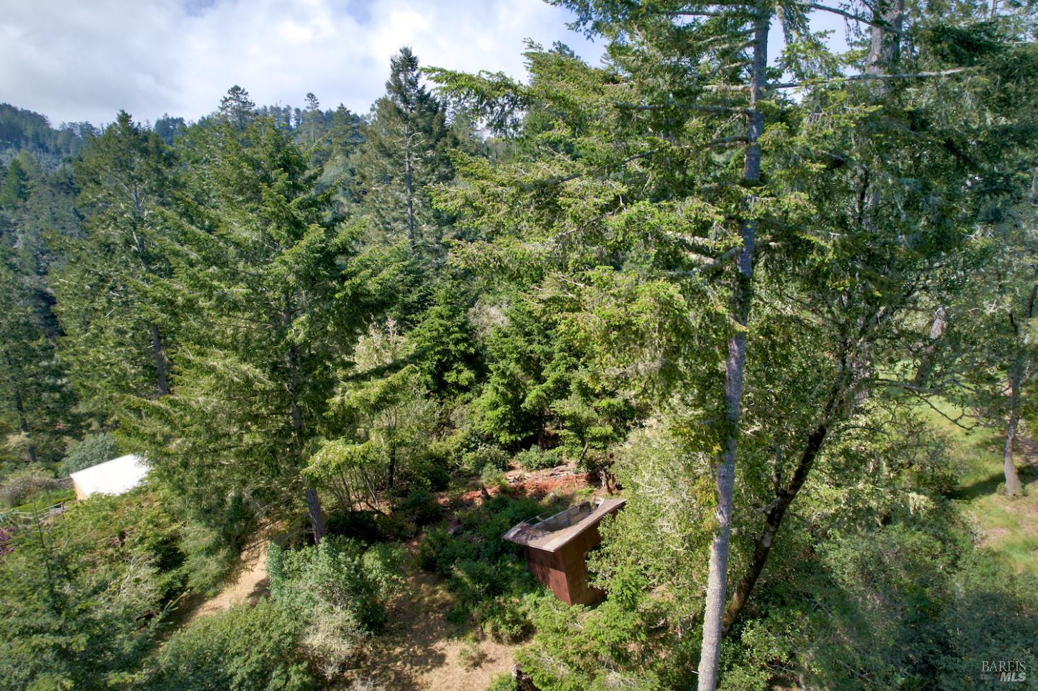 0 Douglas Drive Point Reyes Station, CA 94956 - Photo 6 of 10 a backyard of a house with lots of green space and outdoor seating