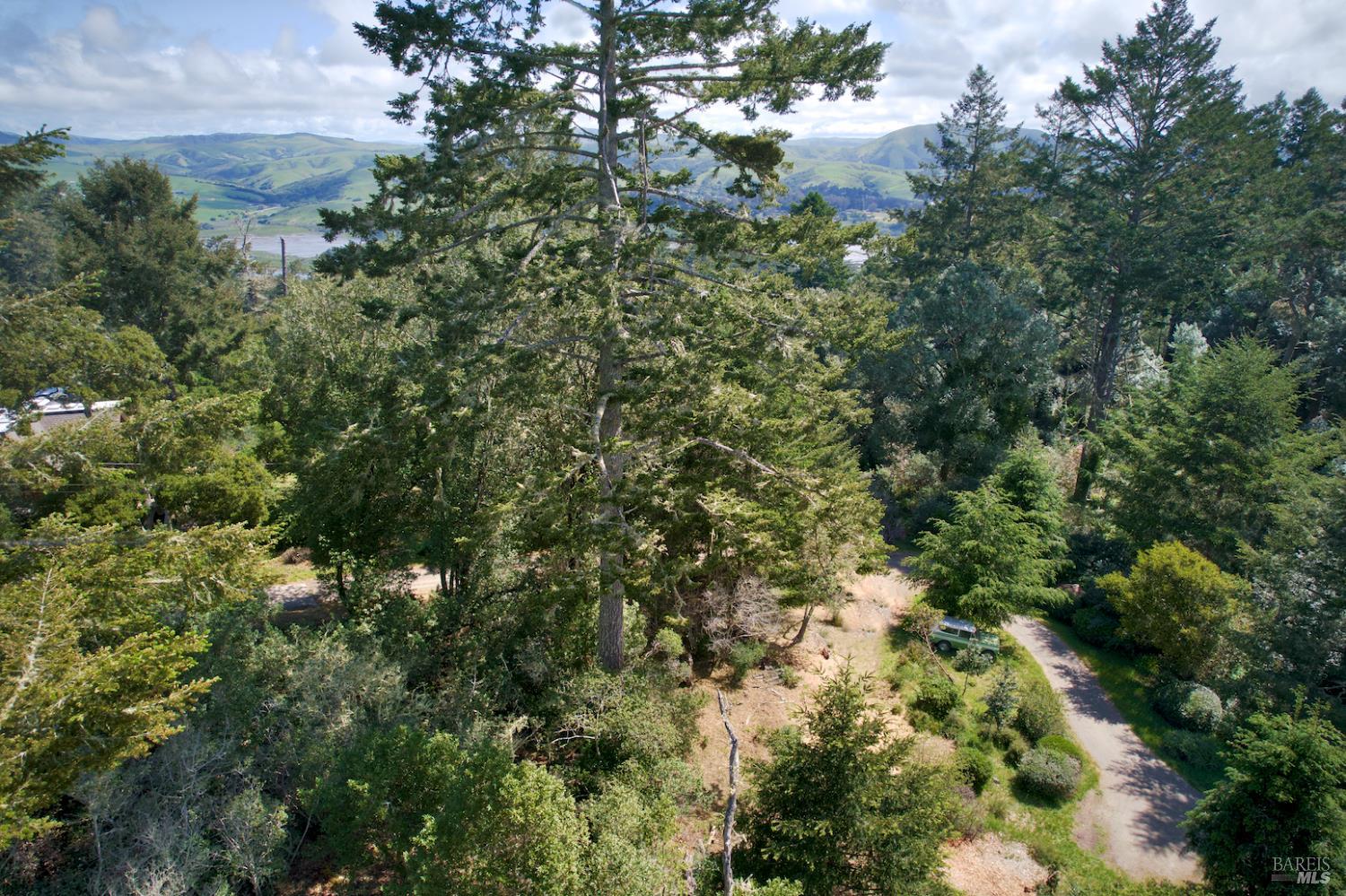 0 Douglas Drive Point Reyes Station, CA 94956 - Photo 8 of 10 an aerial view of a houses with yard