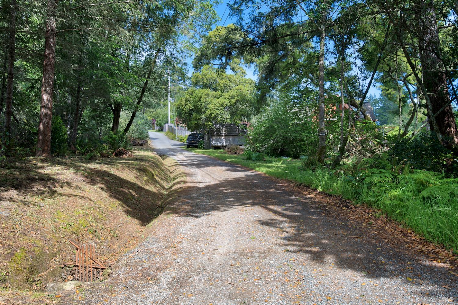 0 Douglas Drive Point Reyes Station, CA 94956 - Photo 9 of 10 a view of backyard with green space