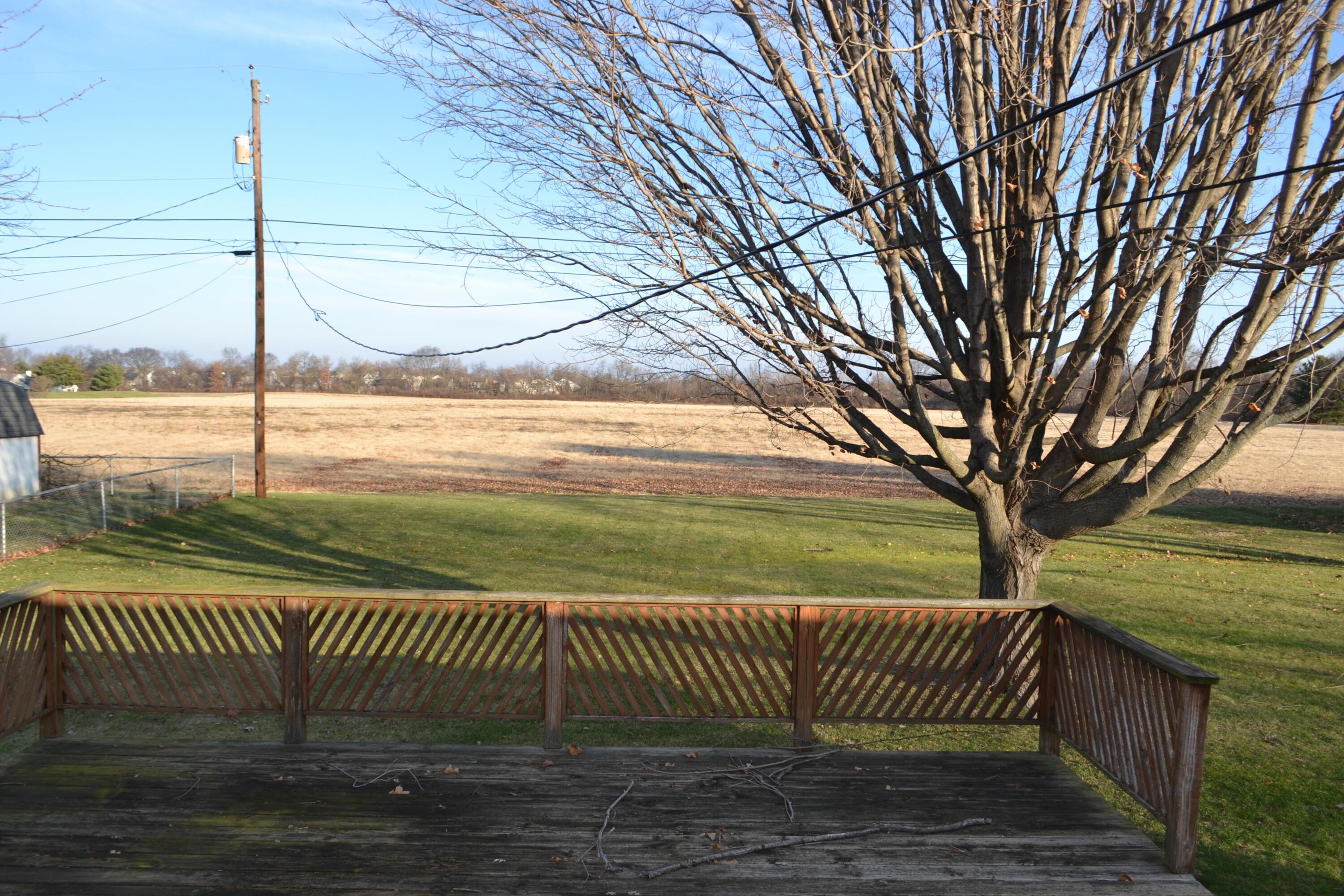 310 Edwards Road Circleville, OH 43113 - Photo 23 of 26 Back yard