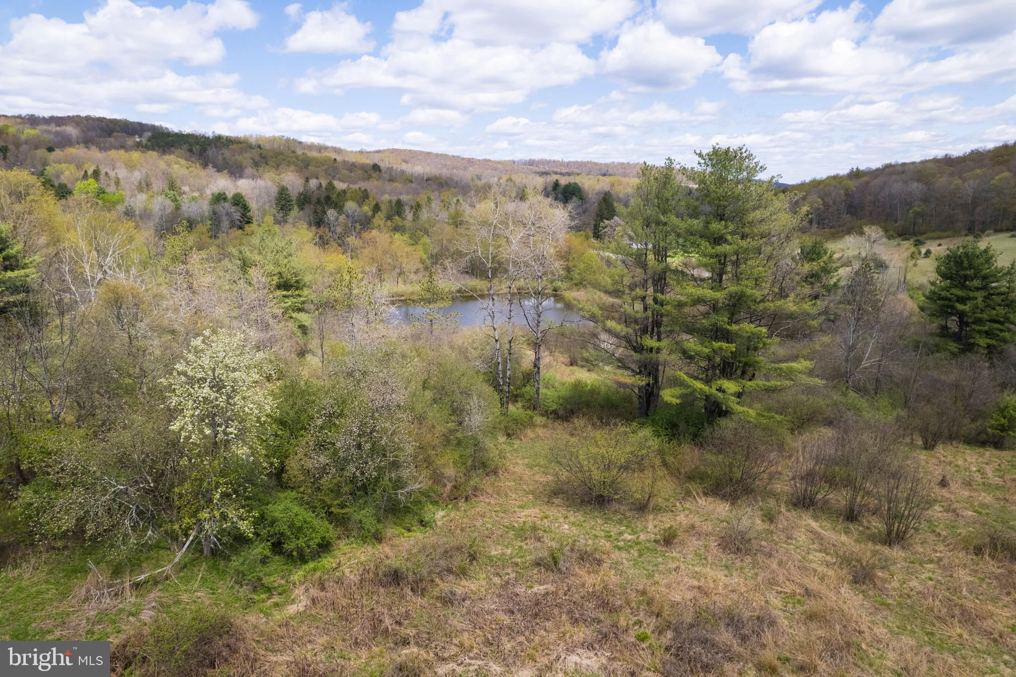 0 Holbrook Road Montrose, PA 18801 - Photo 129 of 147
