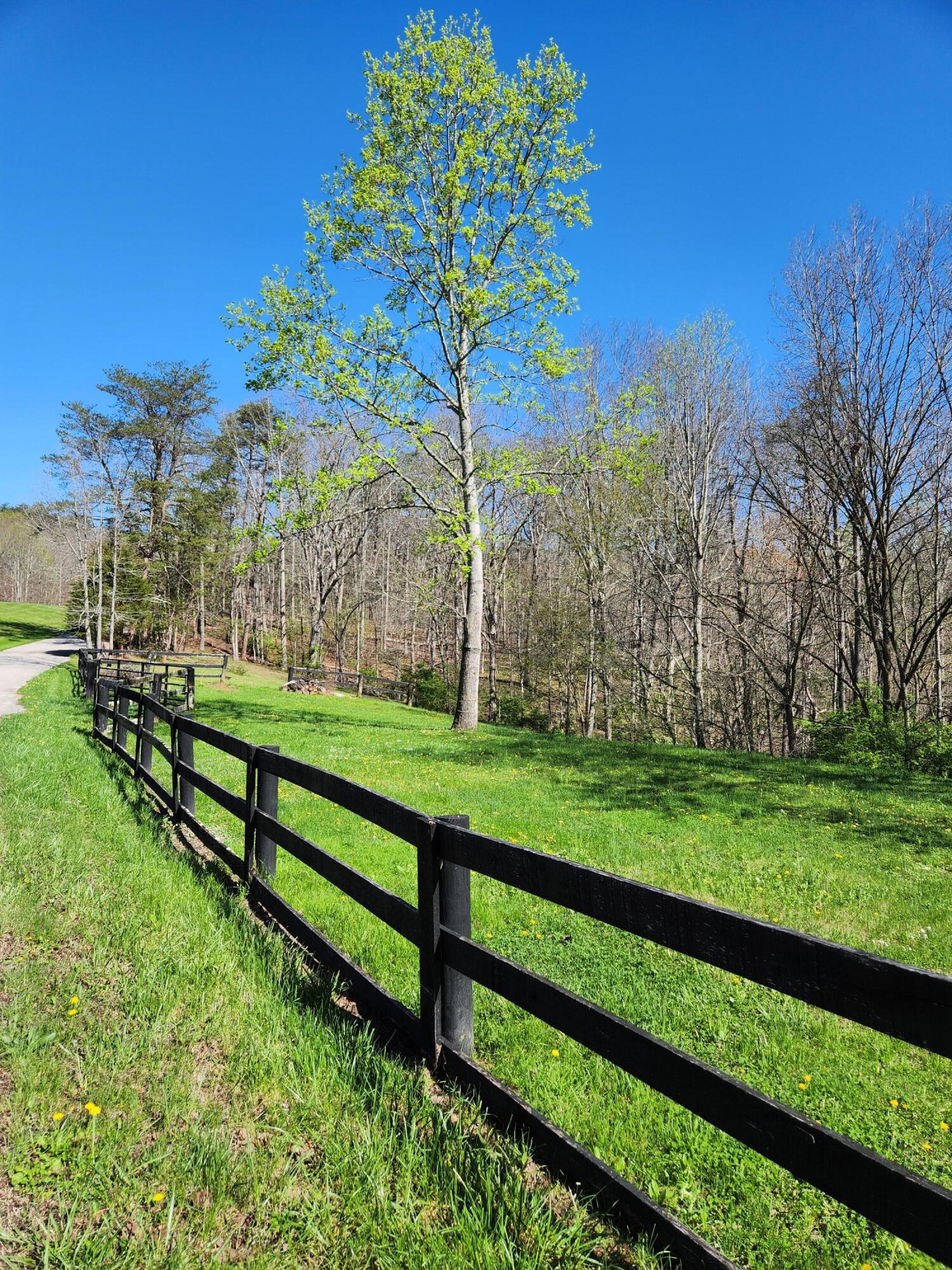 90 Yellow Pine Road Clay City, KY 40312 - Photo 4 of 29 20240413_105700