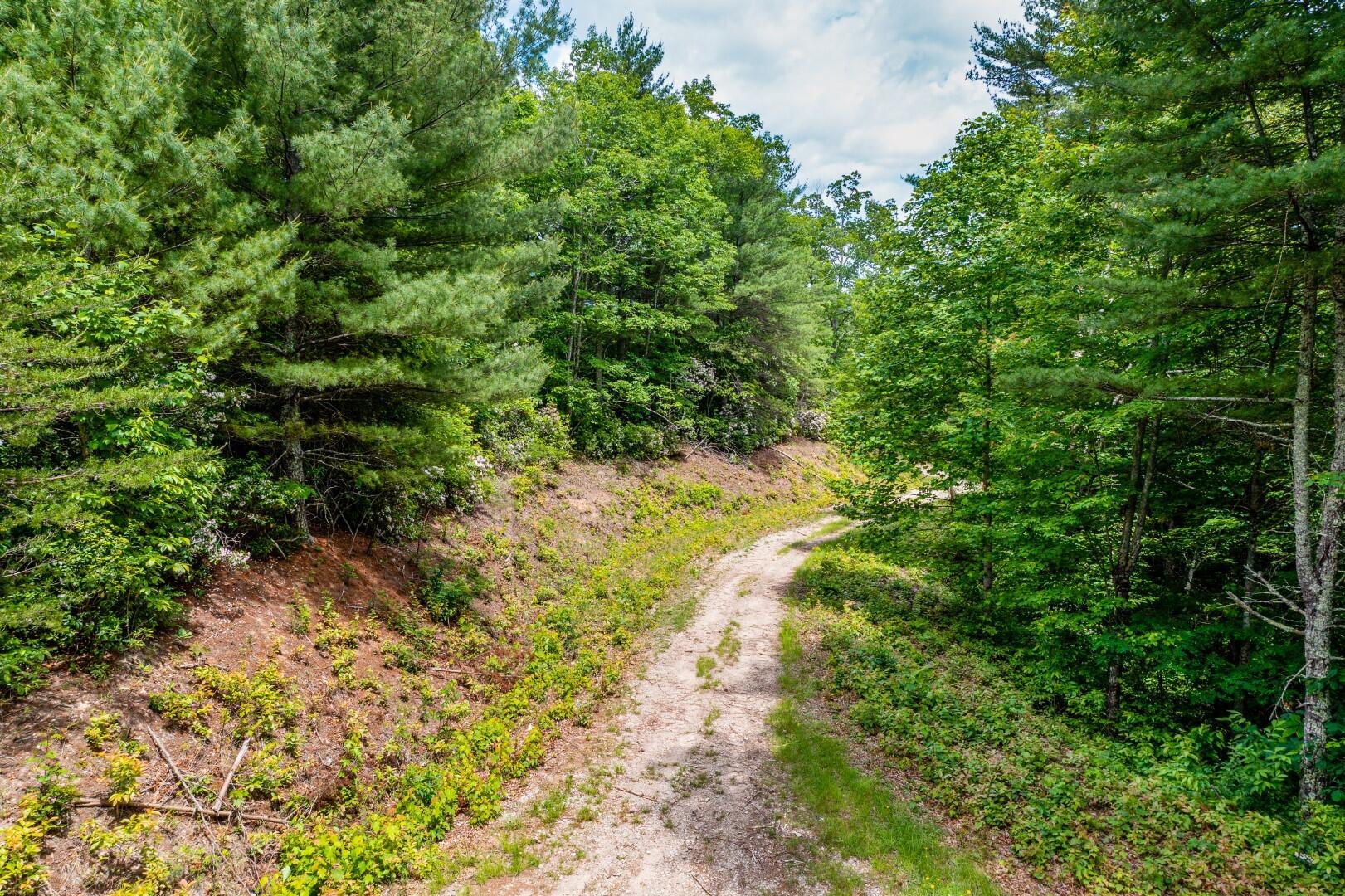 Tbd Jimmy Hollow Road, Unit TR1 Butler, TN 37640 - Photo 11 of 31 DJI_0043-Edit-17