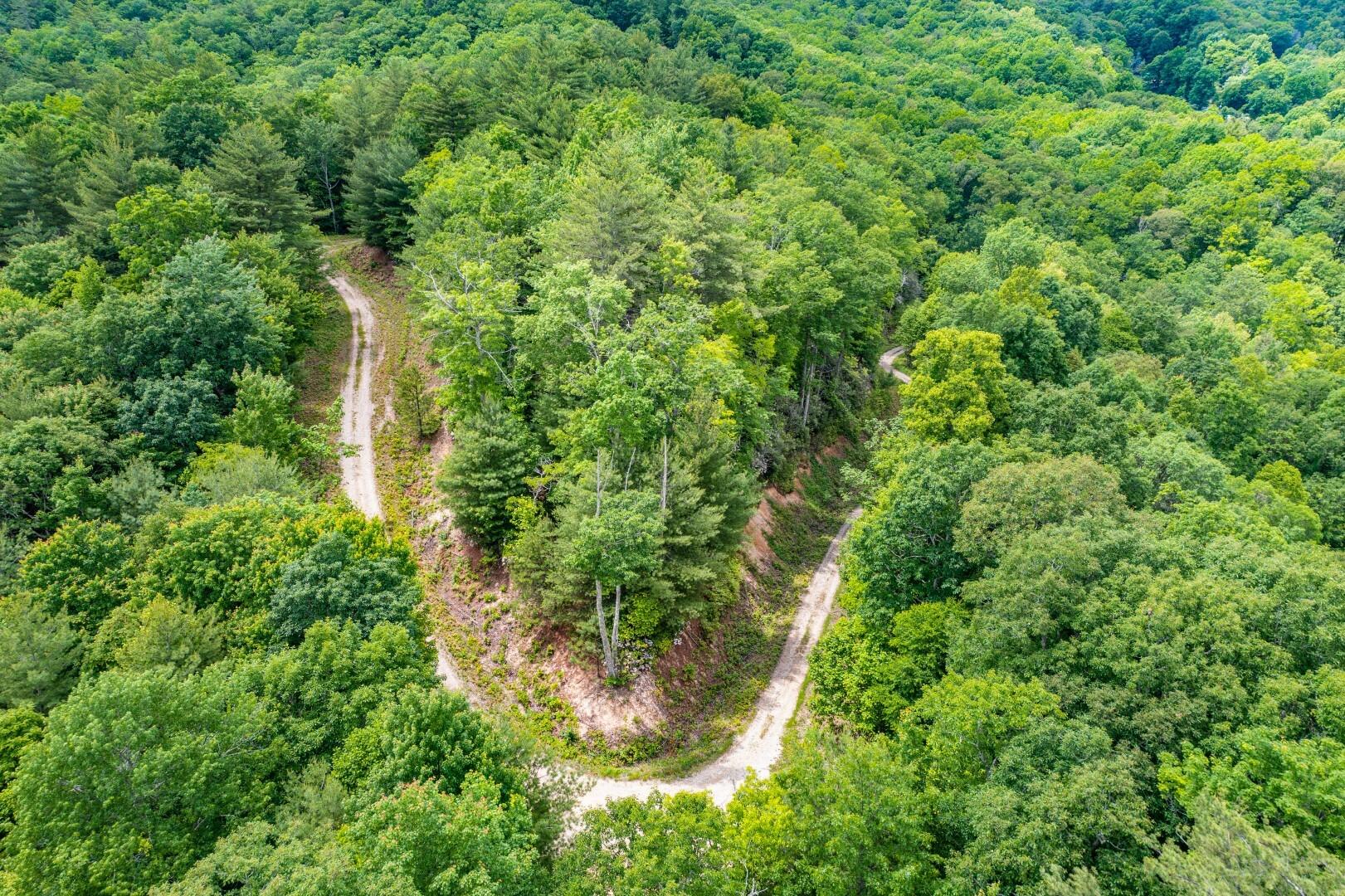 Tbd Jimmy Hollow Road, Unit TR1 Butler, TN 37640 - Photo 12 of 31 DJI_0048-Edit-18