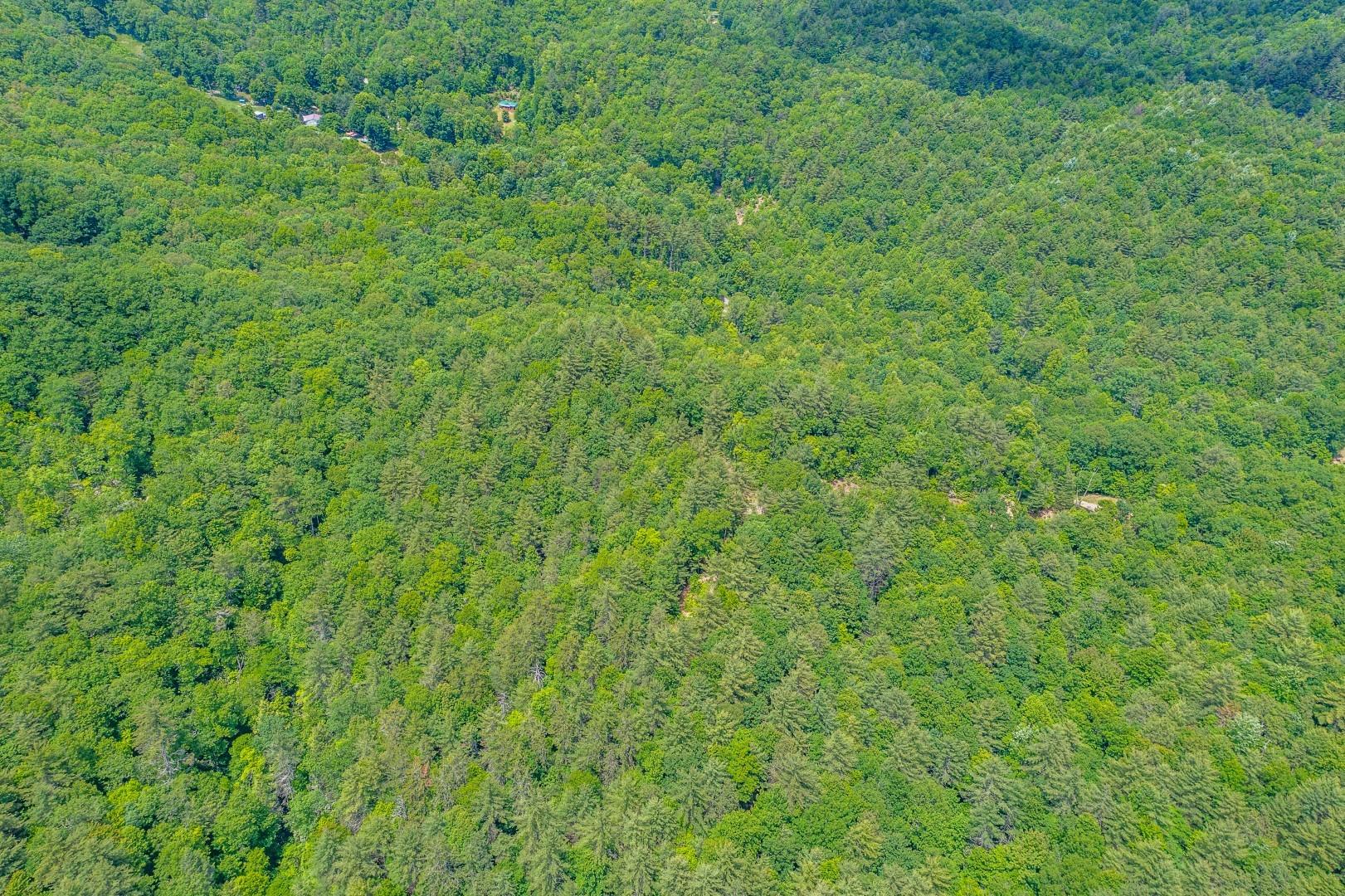 Tbd Jimmy Hollow Road, Unit TR1 Butler, TN 37640 - Photo 14 of 31 DJI_0957-Edit-1