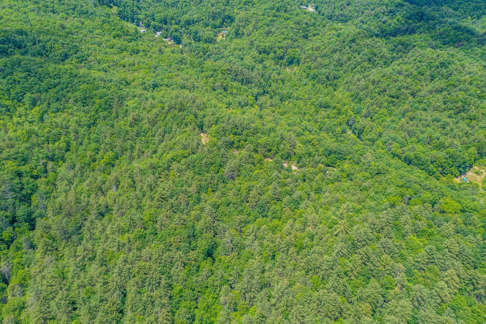 Tbd Jimmy Hollow Road, Unit TR1 Butler, TN 37640 - Photo 15 of 31 DJI_0962-Edit-2