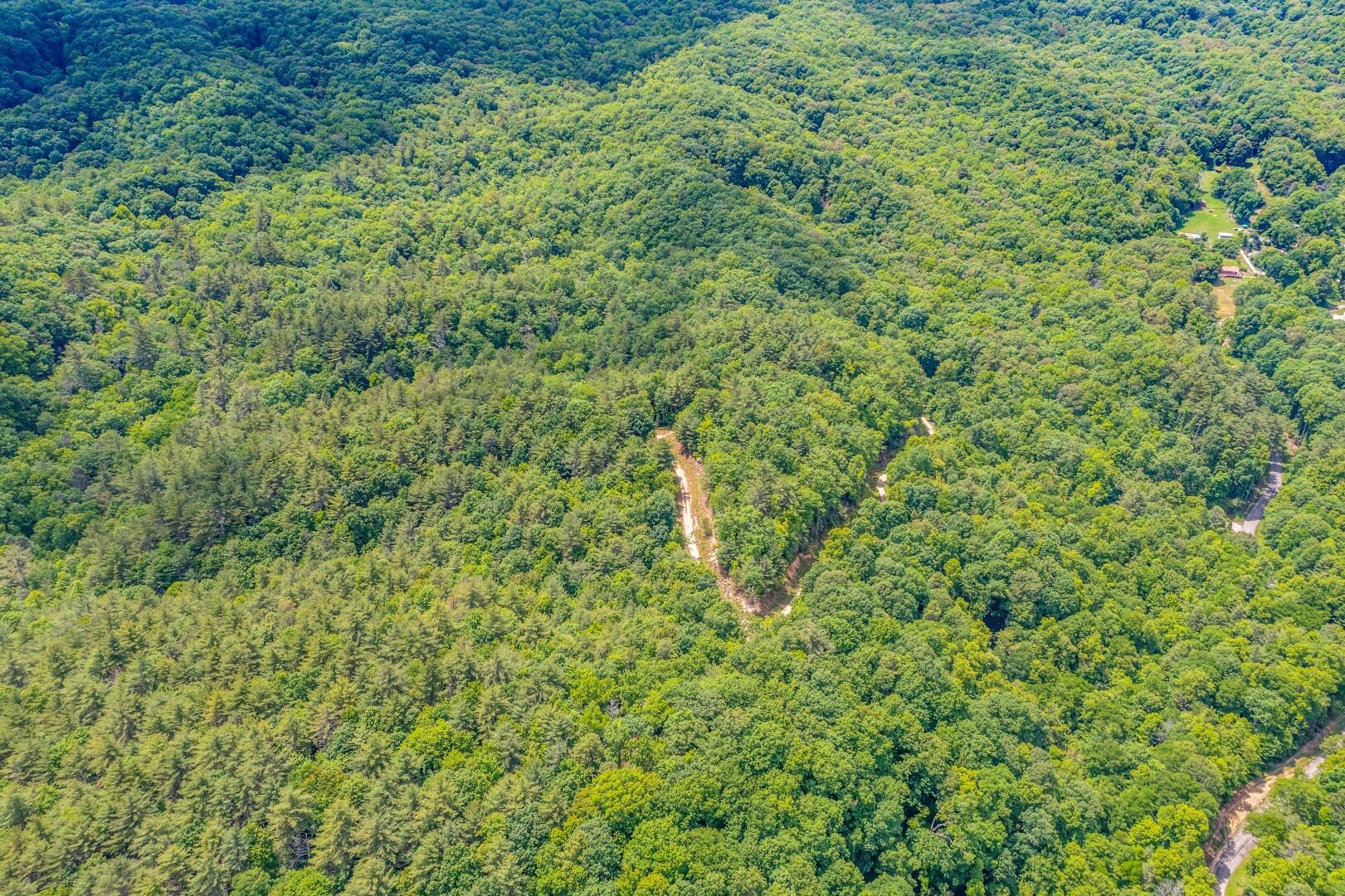 Tbd Jimmy Hollow Road, Unit TR1 Butler, TN 37640 - Photo 16 of 31 DJI_0967-Edit-3