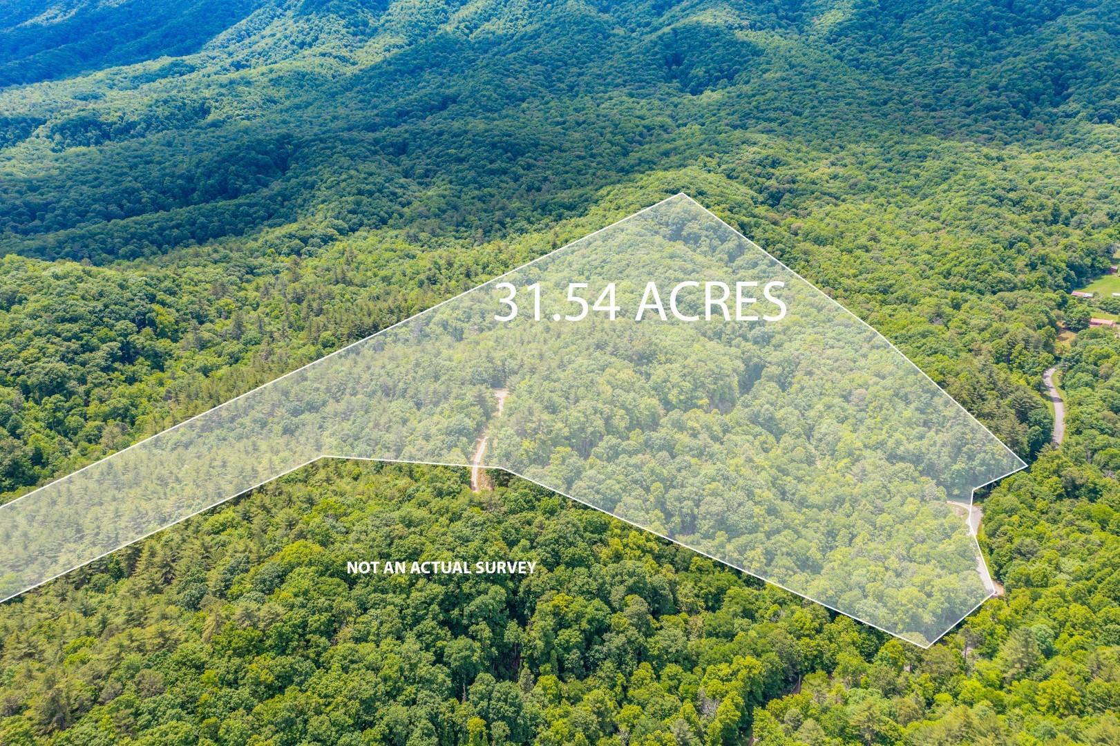 Tbd Jimmy Hollow Road, Unit TR1 Butler, TN 37640 - Photo 17 of 31 DJI_0971-Edit-4