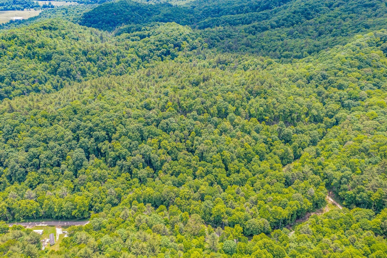 Tbd Jimmy Hollow Road, Unit TR1 Butler, TN 37640 - Photo 18 of 31 DJI_0976-Edit-5