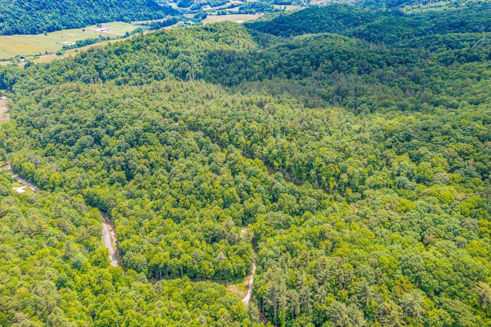 Tbd Jimmy Hollow Road, Unit TR1 Butler, TN 37640 - Photo 19 of 31 DJI_0981-Edit-6