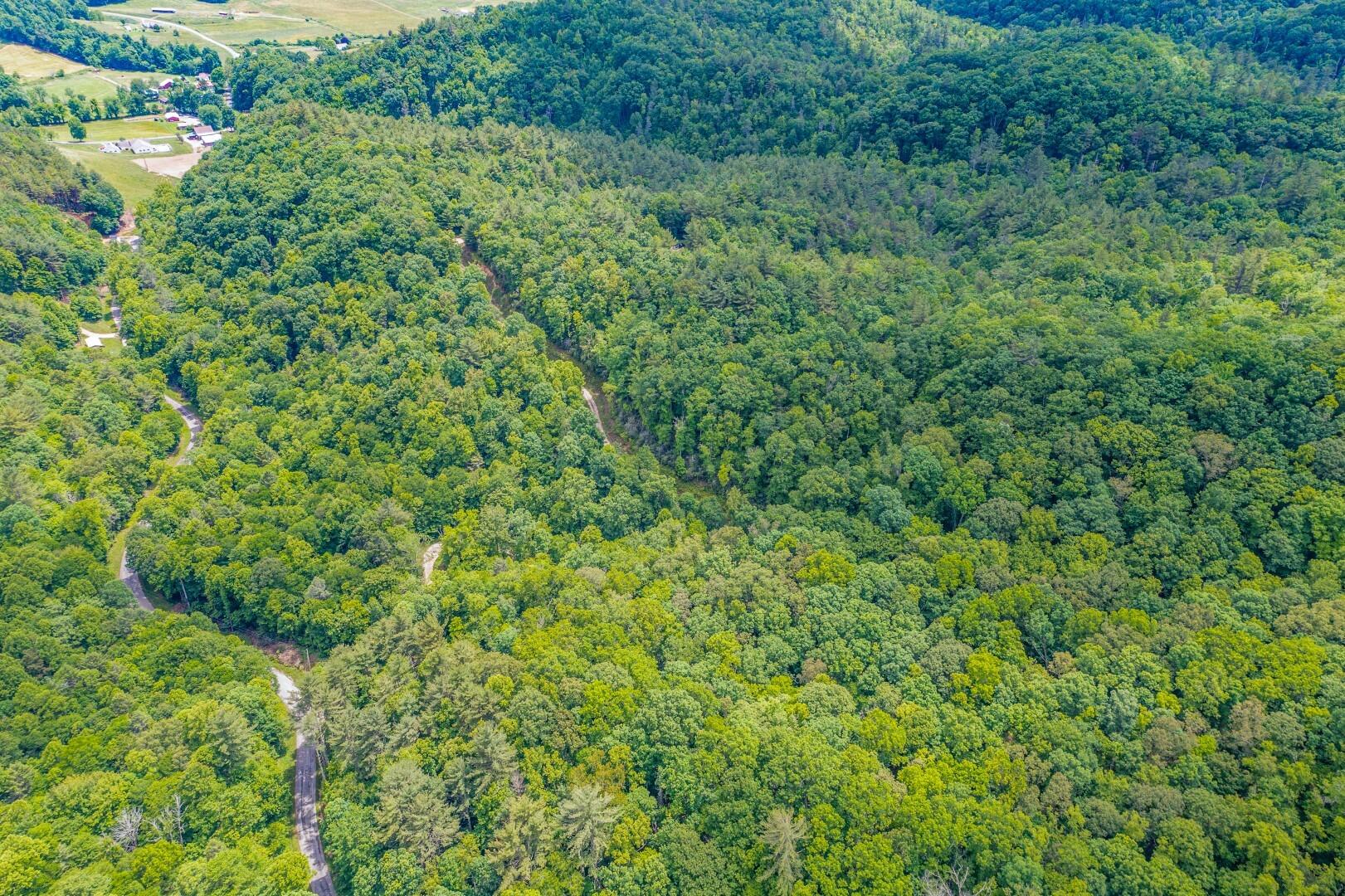 Tbd Jimmy Hollow Road, Unit TR1 Butler, TN 37640 - Photo 20 of 31 DJI_0986-Edit-7