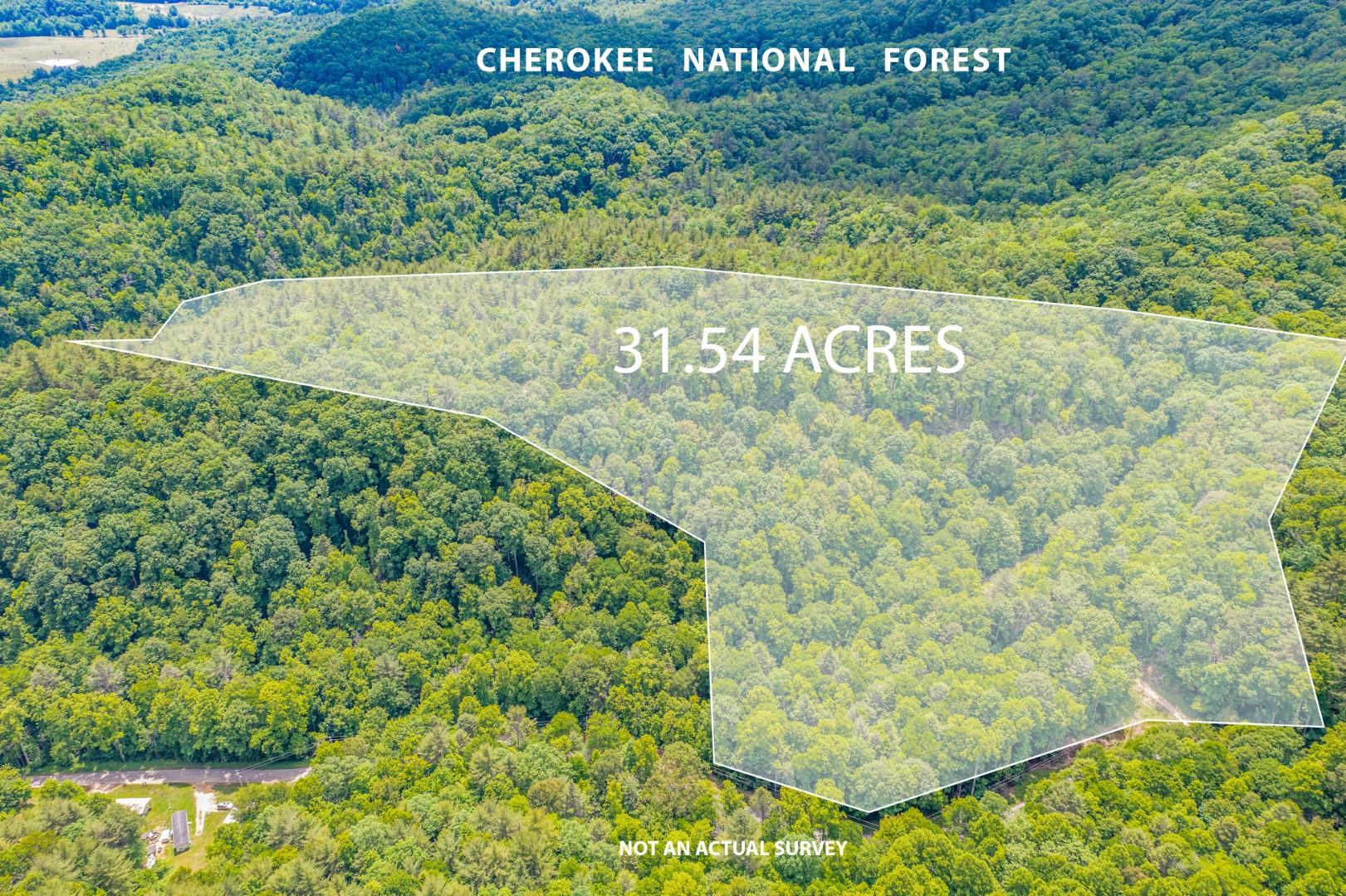 Tbd Jimmy Hollow Road, Unit TR1 Butler, TN 37640 - Photo 2 of 31 Overlay_3 (2)