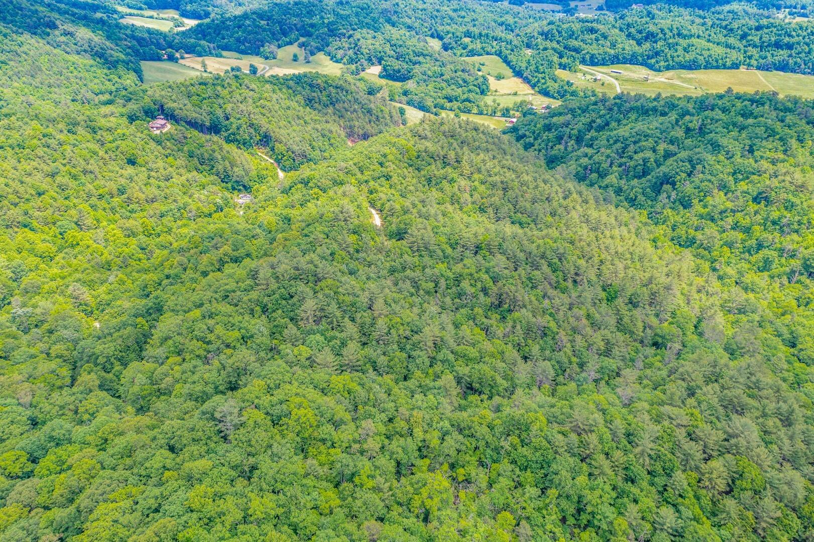 Tbd Jimmy Hollow Road, Unit TR1 Butler, TN 37640 - Photo 22 of 31 DJI_0996-Edit-9