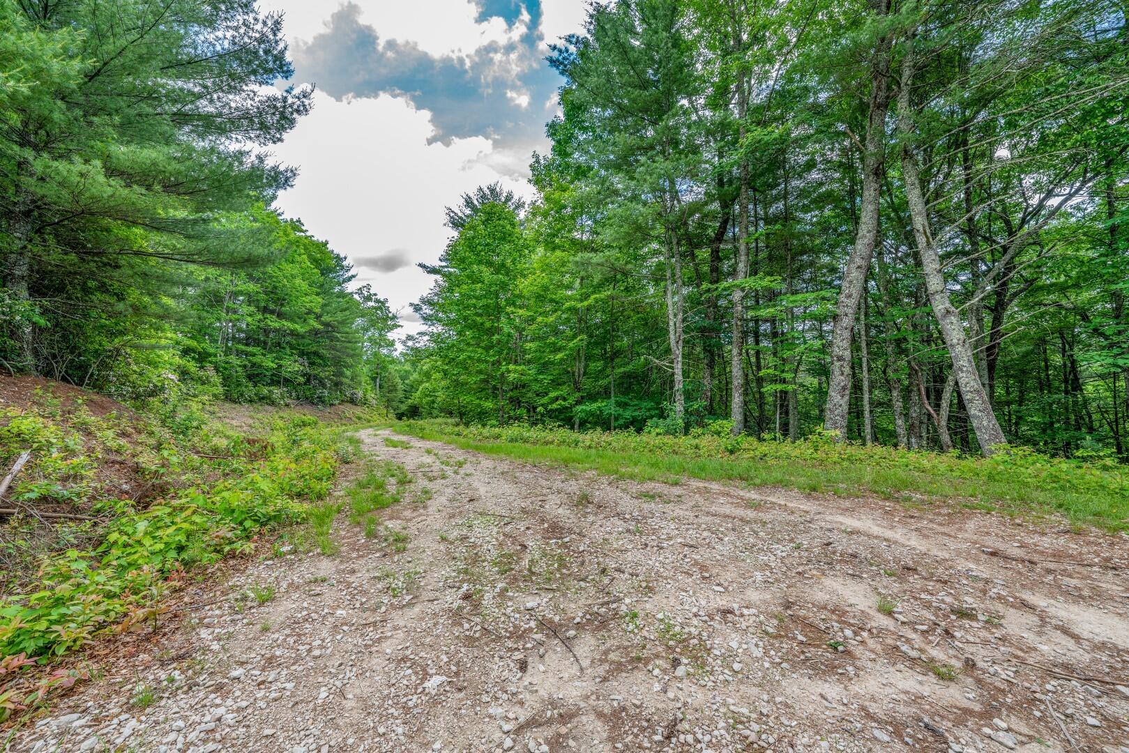 Tbd Jimmy Hollow Road, Unit TR1 Butler, TN 37640 - Photo 25 of 31 DSC08192-Edit-3