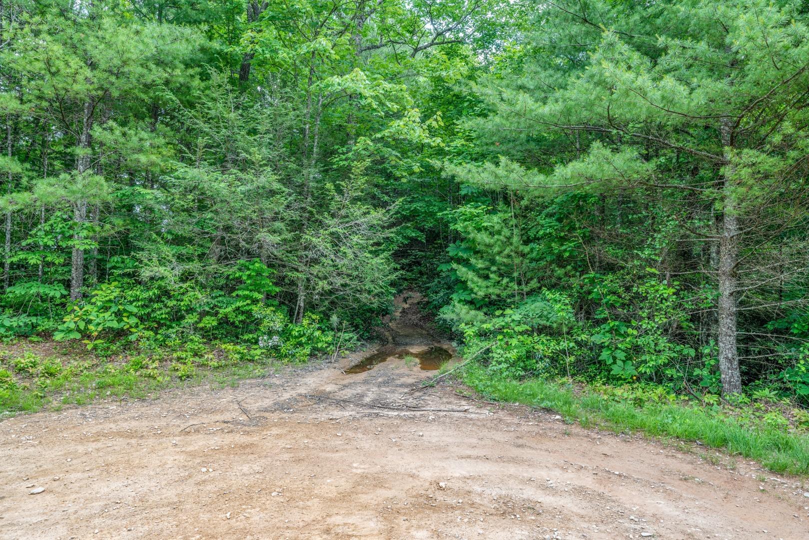 Tbd Jimmy Hollow Road, Unit TR1 Butler, TN 37640 - Photo 26 of 31 DSC08193-Edit-4