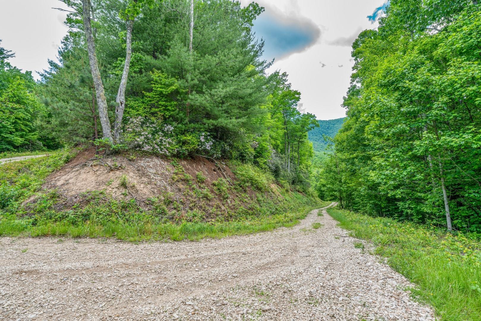Tbd Jimmy Hollow Road, Unit TR1 Butler, TN 37640 - Photo 27 of 31 DSC08194-Edit-5
